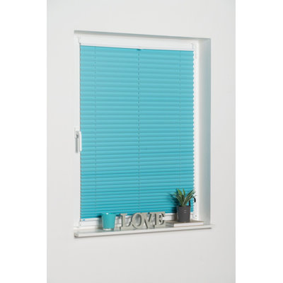 Cordless Room Darkening Pleated shade
