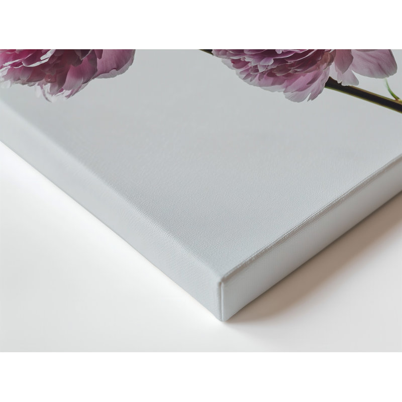Canvas A Serene Composition Featuring Two Delicate Soft Pink Peonies With Wall Art Slightly Curled Petals Set Against A Clean White Canvas Wall Art