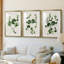 «Forest Foliage on Linen I», reproduction encadrée sur mesure de qualité supérieure - 3 pièces-508944605-508944606