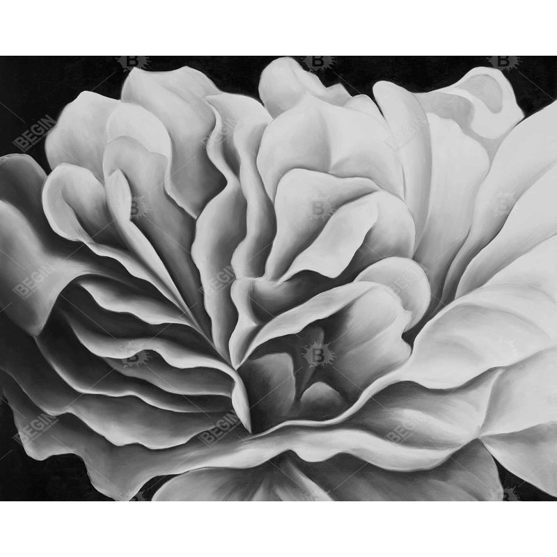 Napperon en polyester tressé noir et blanc avec fleurs | Ensemble de 4