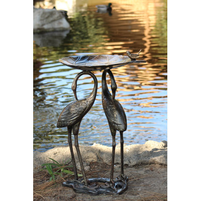 Bain d'oiseaux Rosalez