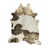 Chocolat / blanc et or