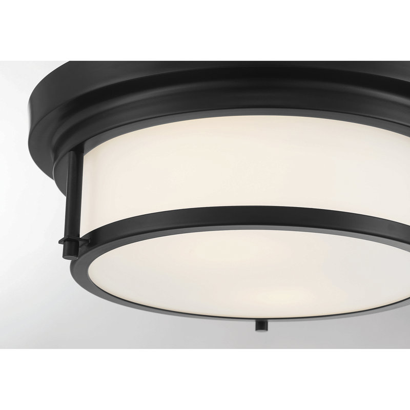 Candiss 2-Light 13" Flush Mount in Matte Black, Matte Black