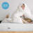 Abberville 8'' Plush Gel Memory Foam Mattress-227243496