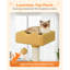 131 cm H Cat Tree / Condo-974152134