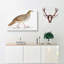 Pheasant Illustration by John Edward Gray - Wrapped Canvas-55366541
