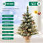 Lighted Artificial Christmas Tree