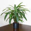 Artificial Foliage Plant in Pot Liner-124076063