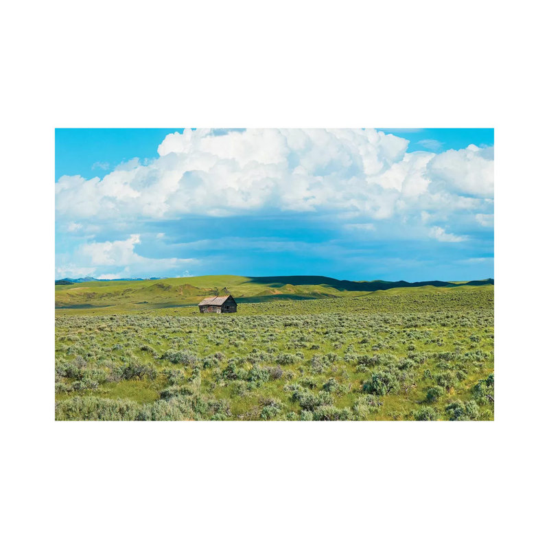 Barn Scene I by James McLoughlin - Wrapped Canvas Print, 66.04cm H x 101.6cm W x 1.905cm D