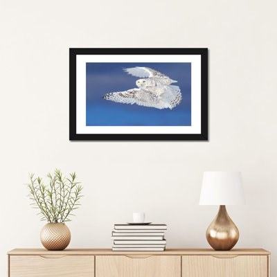 «Flight of the Snowy - Snowy Owl» par Jim Cumming - reproduction de photo sur toile encadrée