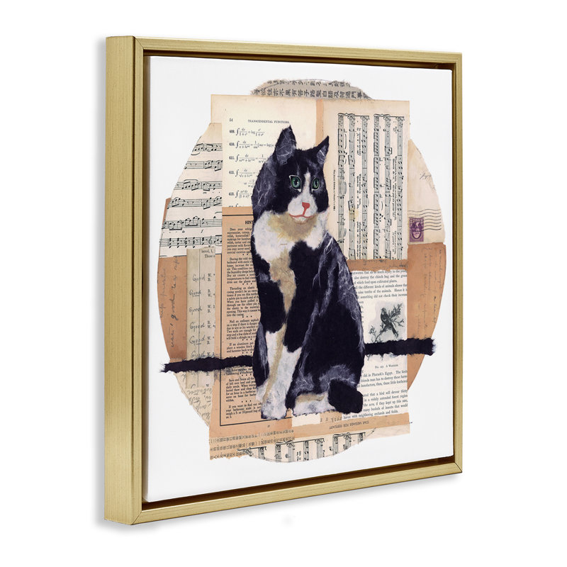 «Tuxedo Cat Collage» par Nancy Overton, Cadre flottant métallique doré, H 25 po x l 25 po