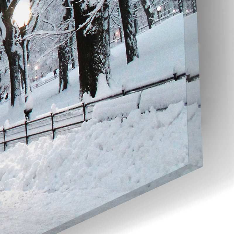 «White Wonder» par Verne Varona, art mural en verre acrylique, H 12 po x l 16 po x P 0,13 po