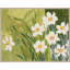 Fleur Blanche Print by Paule Marrot-62646853-62646852