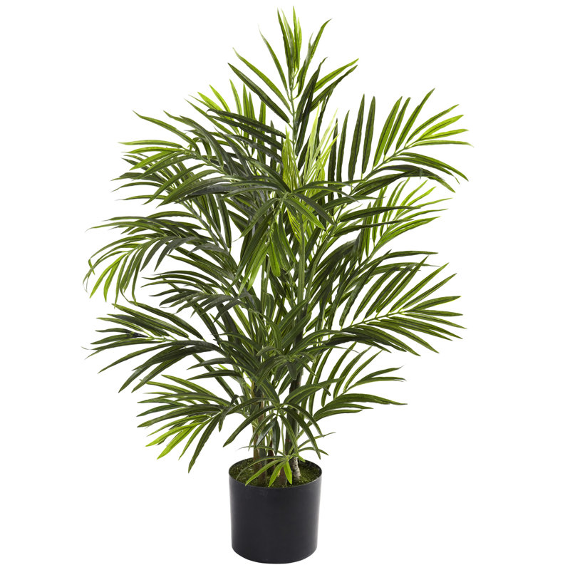 Areca Palm Tree in Pot, 30" H x 24" W x 24" D