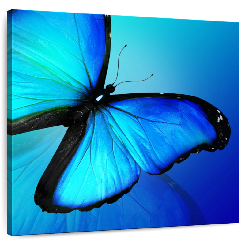 Brampt Glowing Morpho Butterfly, 24" H x 24" W