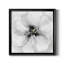 «Bold Beginnings II», reproduction d'art sur toile encadrée-1653026597-1653026592