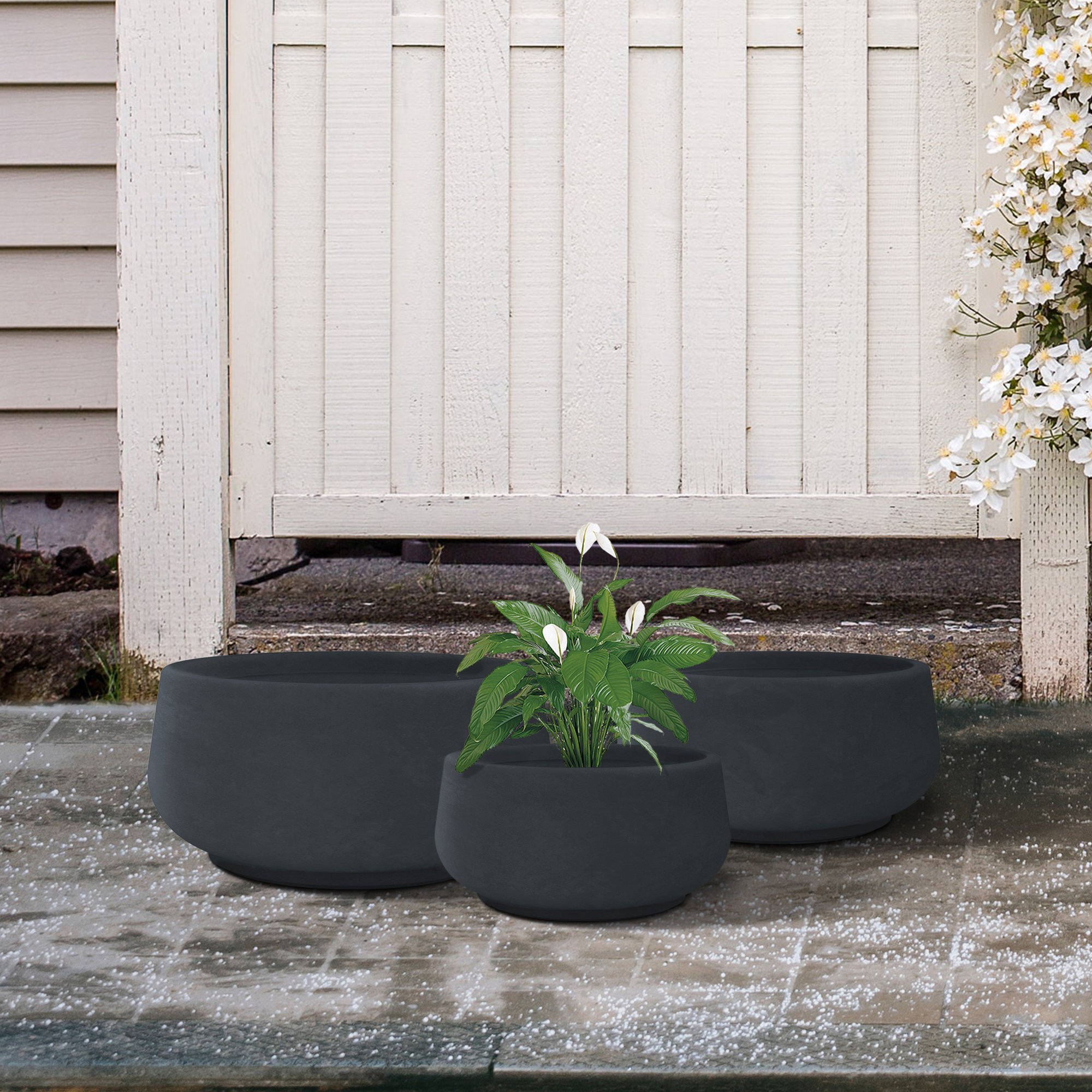 https://assets.wfcdn.com/im/32813849/compr-r85/2042/204290109/kante-3-piece-216-169-and-125w-round-concrete-elegant-planters-outdoor-indoor-modern-planter-pots-lightweight-weather-resistant-seamless-with-drainage-hole-set.jpg