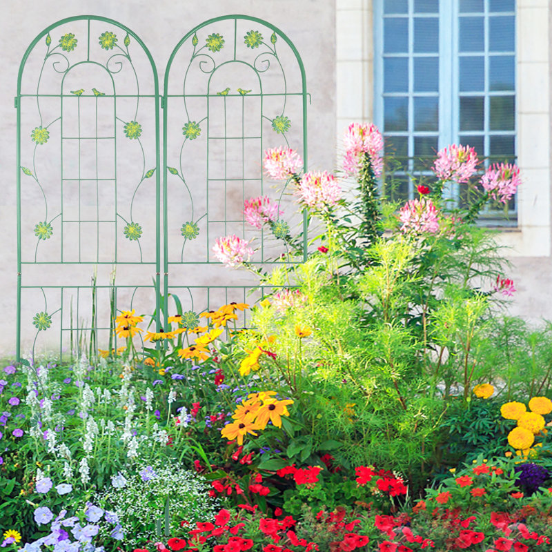 71 treillis de jardin en métal 71 po x 19,7 po, support de fleurs d'extérieur rouille, assemblage facile, fabrication, pour jasmin, concombre, vignes de pois, paquet de treillis 71 po x 19,7 po, plantes antirouille, structure, matinée