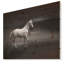 «Gray Horse», impression-35109754-35109767