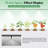 Large Walk-In Tunnel Greenhouse for Outdoors with Watering System, White/Green-124505523
