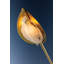 Levin Chandelier in Aged Brass-502170157-502170155