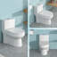 Toilette en céramique brute de 12 po, double chasse 1,1 / 1,6, charnière à dégagement rapide, carte Siphon Jet 800G, économiseur d'espace