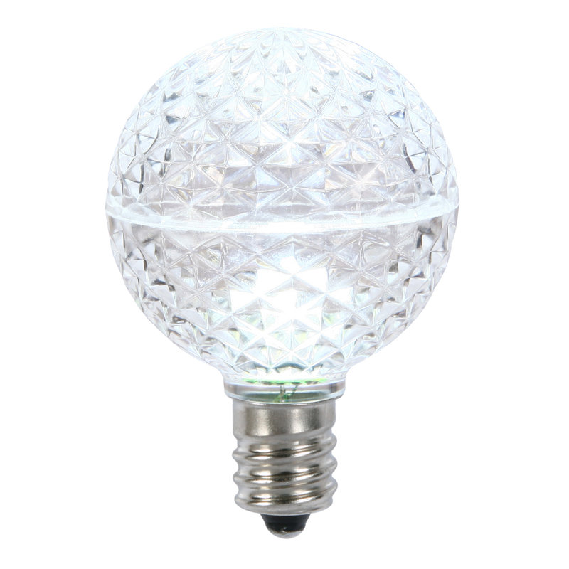 Globe Light Bulbs