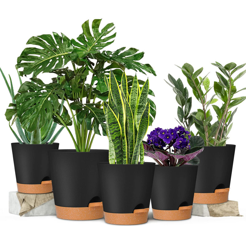 Pots à plantes avec trou de drainage, Noir, noir, noir, noir