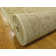 Moore Oriental Indoor Rug