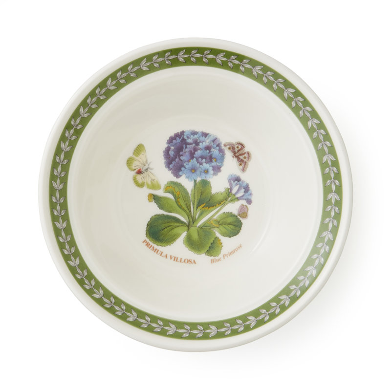 Botanic Garden Etchings Set Of 6 Oatmeal Bowls