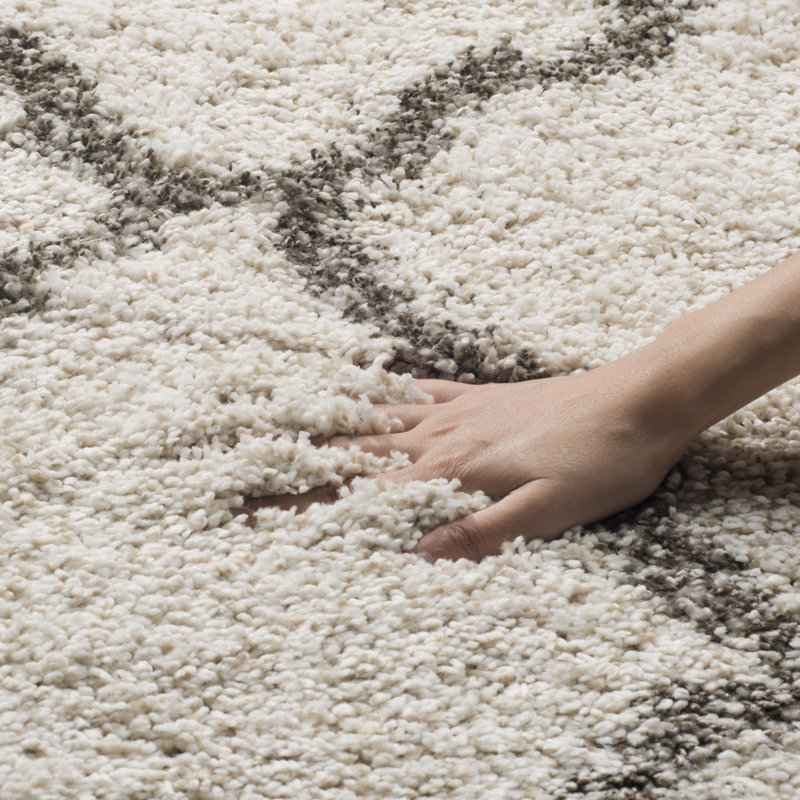 Darrol Hudson Shag Performance Geometric Rug, Square 5'3"