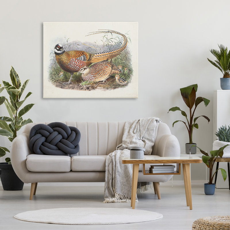 Art mural sur toile Pheasant Family in Nature par Wild Apple Portfolio, H 30 po x l 40 po