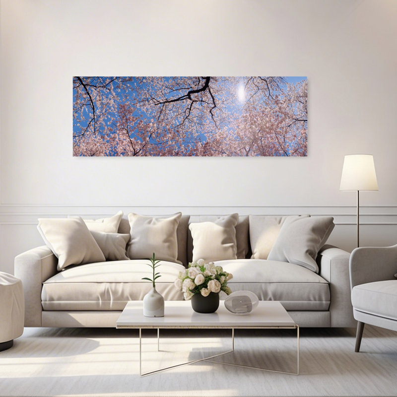 Faible angle de vue de cerisiers en fleurs, Washington DC, États-Unis, tranquille, abstrait, cerisier contemporain, fleur, art mural