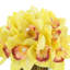 Orchids Arranged in Bamboo-Filled Glass Vase-1508589934