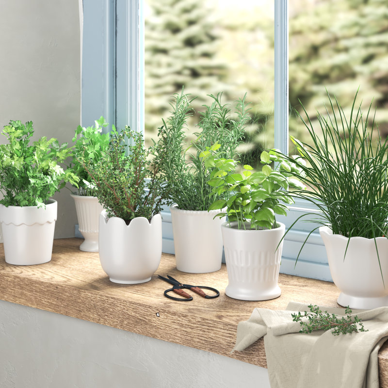 Ceramic Cachepot
