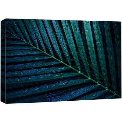 «Blue-Green Palm Leaf Nature Wilderness» sur