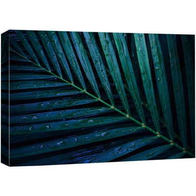 «Blue-Green Palm Leaf Nature Wilderness» sur
