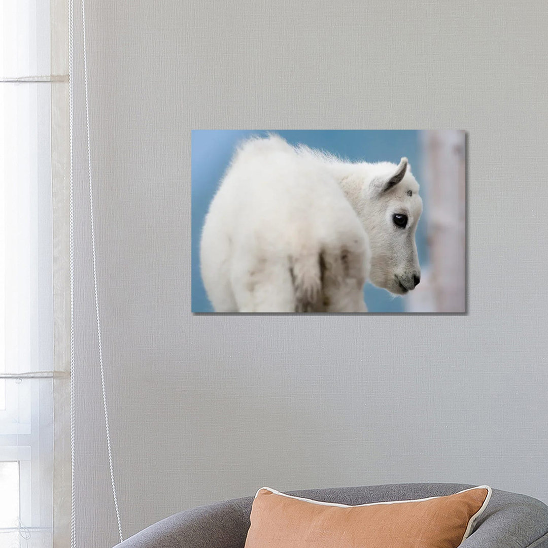Mountain Goat by Mateusz Piesiak - Wrapped Canvas Gallery-Wrapped Canvas Giclée