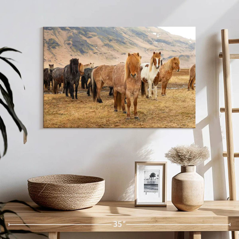 Brampt, chevaux islandais dans la campagne III, H 16 po x l 24 po