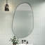 Wall Mounted Mirror-338435404-350215976-350215983