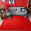 Long-haired Indoor Area Rugs-123279376