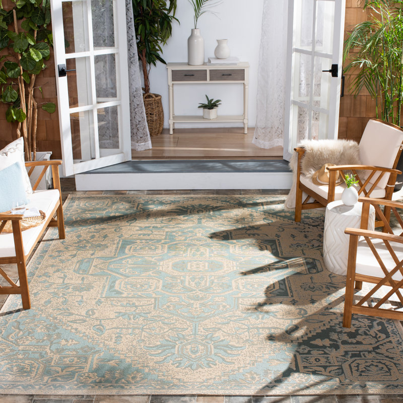 Danya Aqua/Cream Indoor/Outdoor Area Rug, Rectangle 6'7" x 9'2"