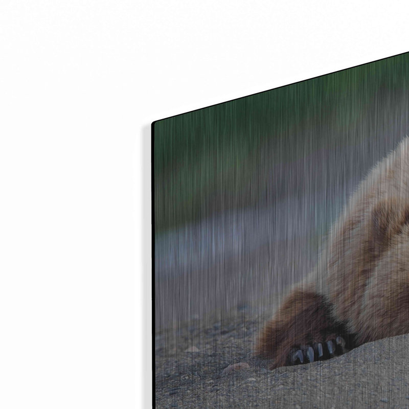 «Bear Life X» par PH Burchett, H 12 po x l 24 po