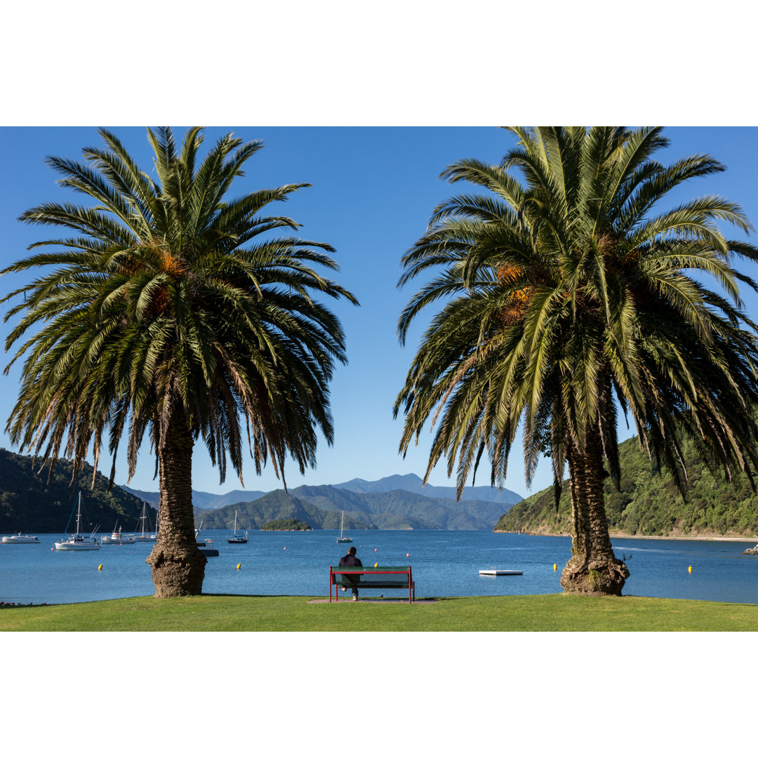 Picton Harbor And Pier by Onfokus - Leinwandbild