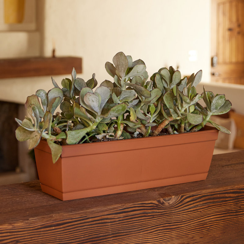 Dura Cotta Traditional Plastic Indoor/Outdoor Rectangle Window Box Planter with Attached Saucer