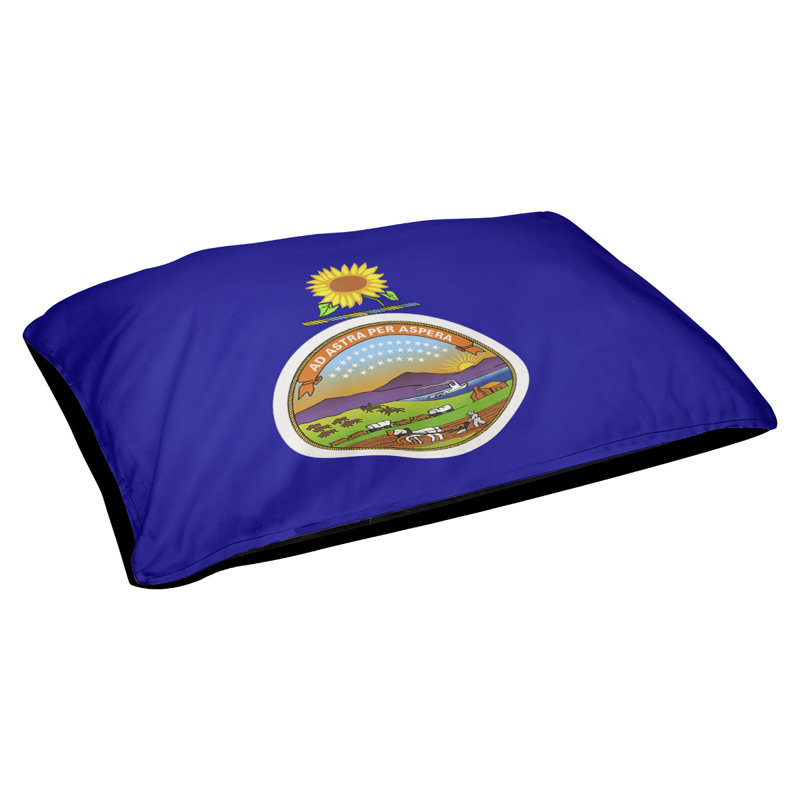Coussin stylisé kansas flag Burien, L 32,5 po x l 42,5 po, Noir