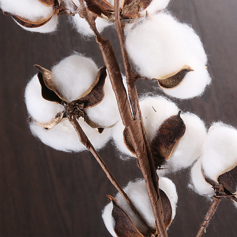 Cotton Arrangement