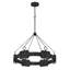 Raffi Steel Medium LED Other Chandelier