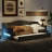 Upholstered Twin XL Size Daybed With LED Belt And Trundle-780193590