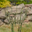 Kempst Plant Stand - Set of 2